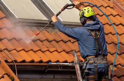Démoussage et hydrofuge de toiture à Rhèges